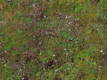 Turf texture (ID:ffach082216)