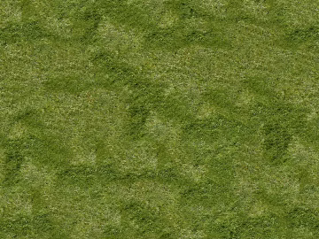 turf lawn texture (ID:ffach479338)