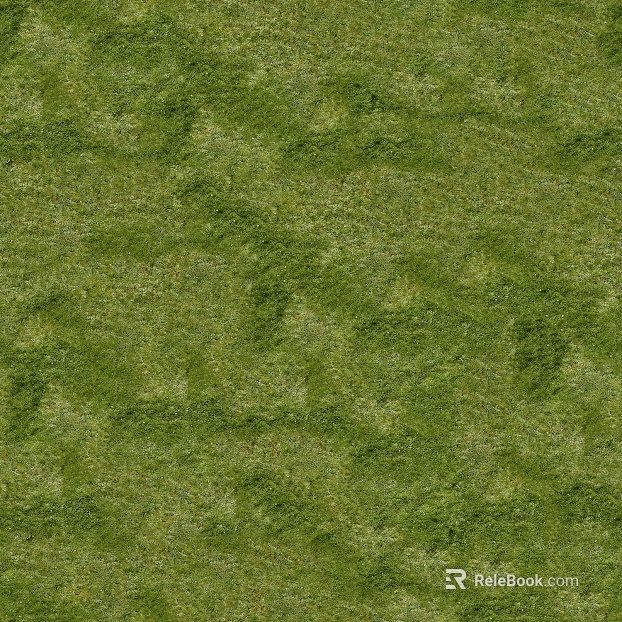 turf lawn texture