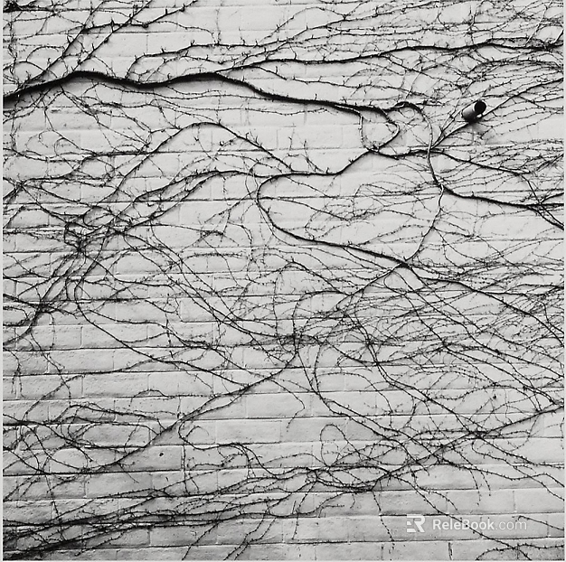 Gray white vine texture brick wall exterior decoration texture