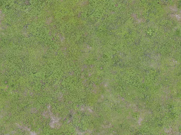 Turf ground texture (ID:ffaaf7362)