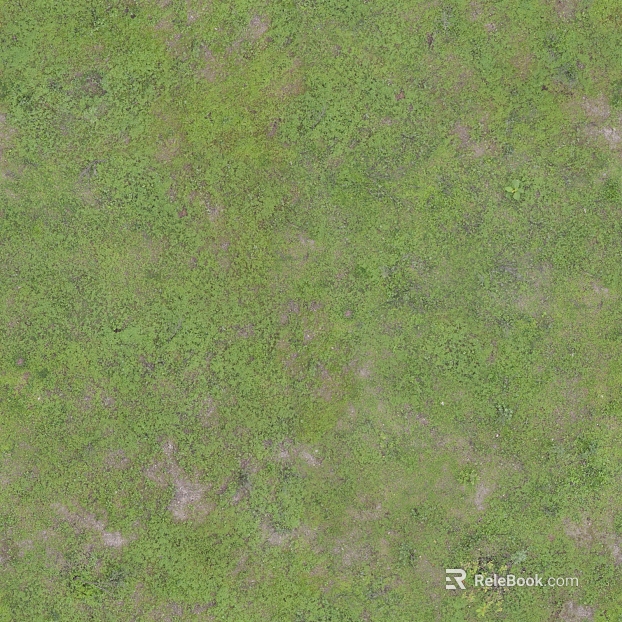 Turf ground texture