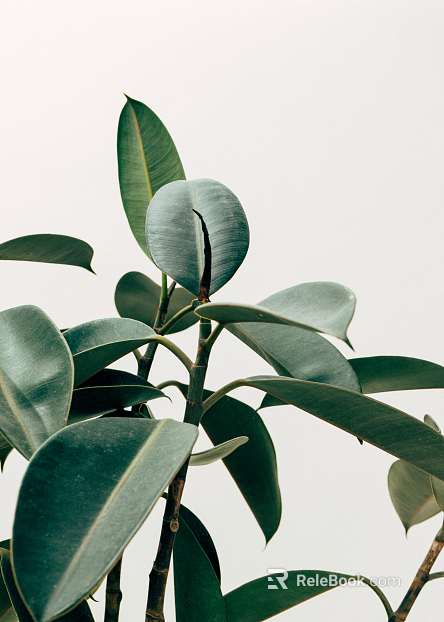 Plant painting texture