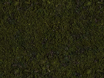 New Chinese moss soil 3d model