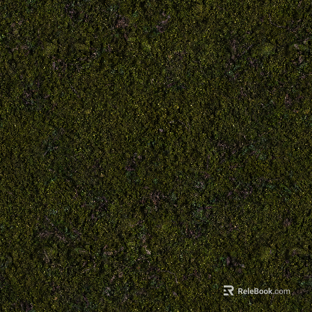 New Chinese moss soil texture