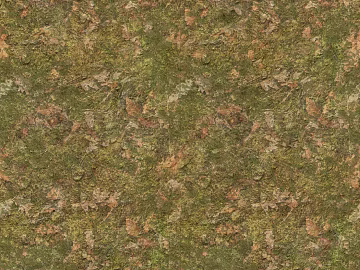 Mud ground texture (ID:ffaaf3989)