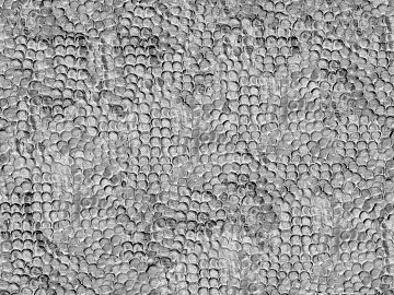 Black and White Bump texture (ID:ffaag61594)