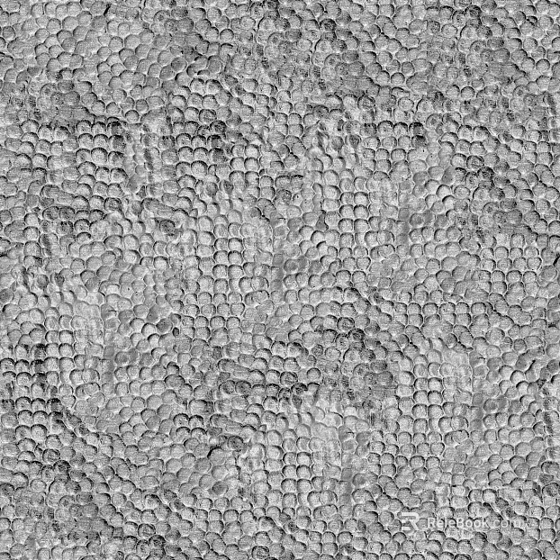 Black and White Bump texture