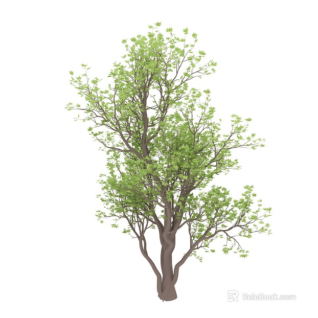 Plant painting texture