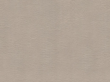 fine grain leather texture (ID:ffaeg09333)