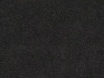 fine grain leather 3d model