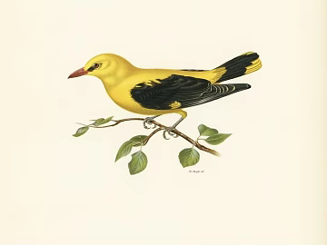 Animal painting texture (ID:ffajg48821)