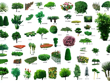 plant pattern texture (ID:ffagg50762)