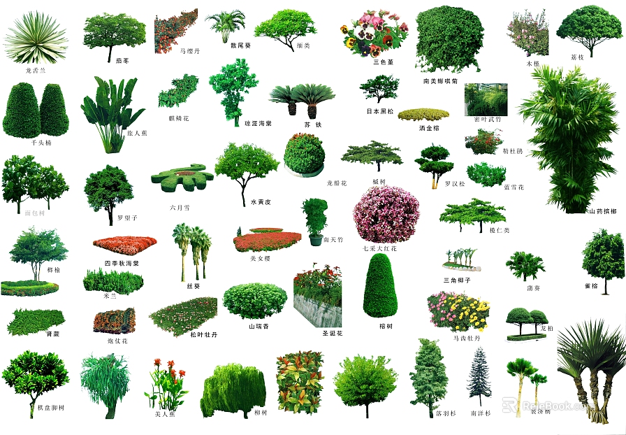 plant pattern texture