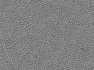 Coarse-grain leather 3d model