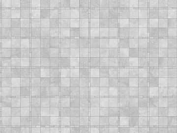 Stone Paving texture (ID:ffacg61649)