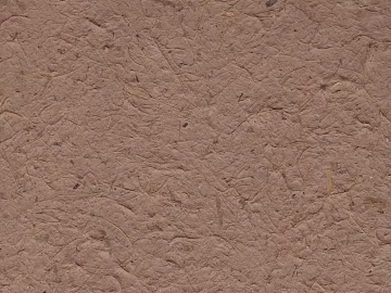 earth wall 3d model