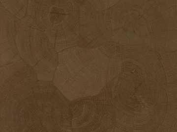 Vintage annual ring wood grain wood floor wood grain brick texture (ID:ffaeh175139)