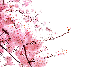 Flowers texture (ID:ffaeg89300)