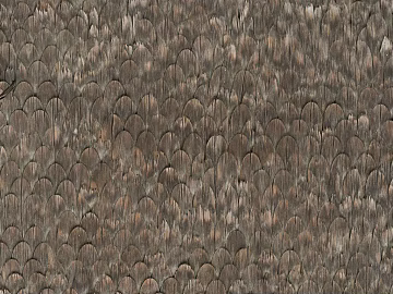 Taupe scale textured wood veneer (ID:ffaeh880996)