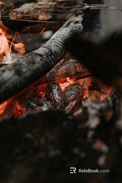 Charcoal roasted mahogany texture