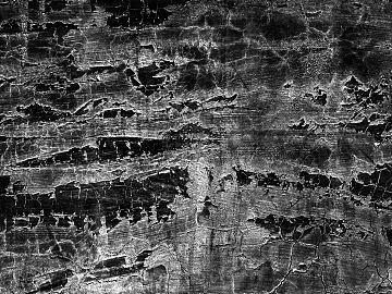 Black and White Bump texture (ID:ffacg44260)