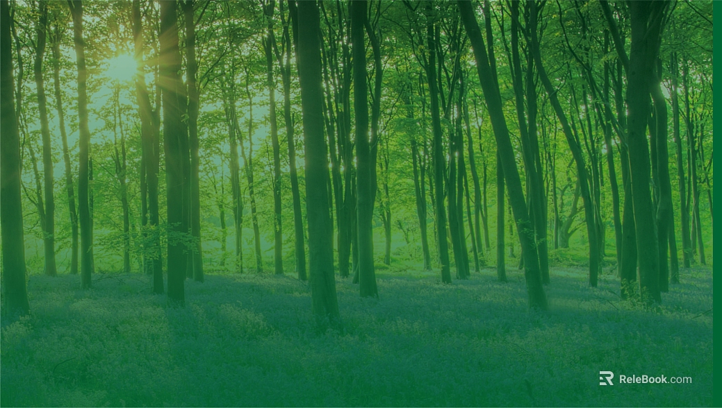 Forest texture