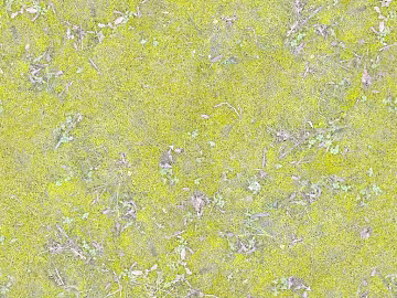 moss texture (ID:ffaag02885)
