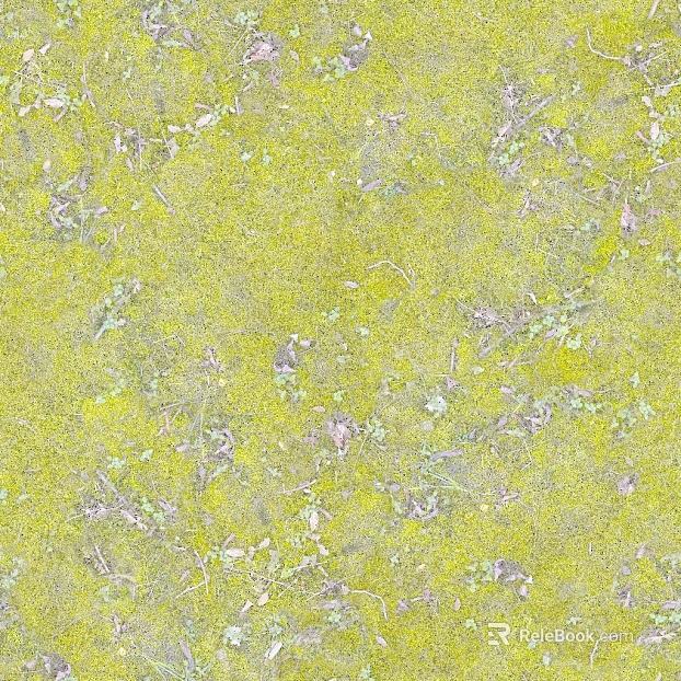 moss texture