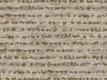 Mud ground texture (ID:ffaaf2959)