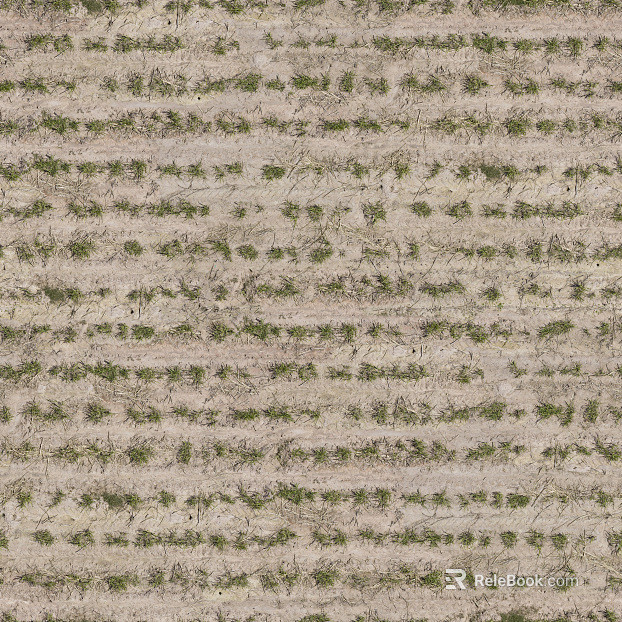 Mud ground texture