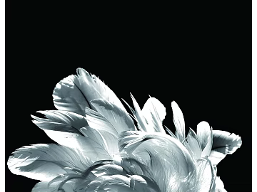 black and white painting texture (ID:ffaeg95656)