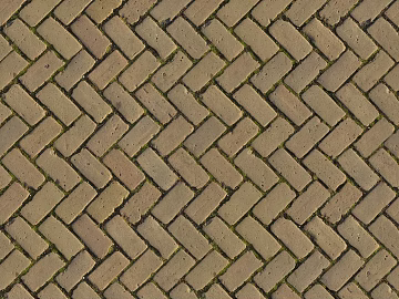 Brick pavement texture (ID:ffhbe797)