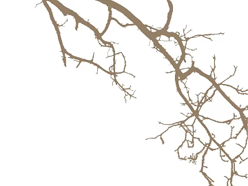 Plant painting texture (ID:ffaeg64872)