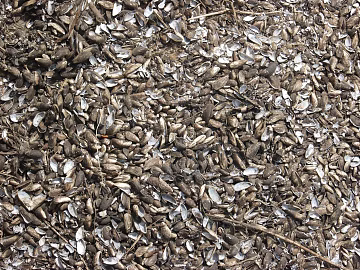 Ground texture (ID:ffagg08457)