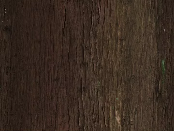 bark texture (ID:ffaag86991)