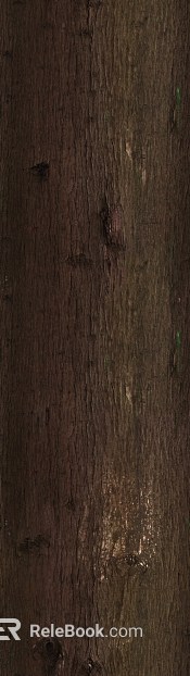 bark texture