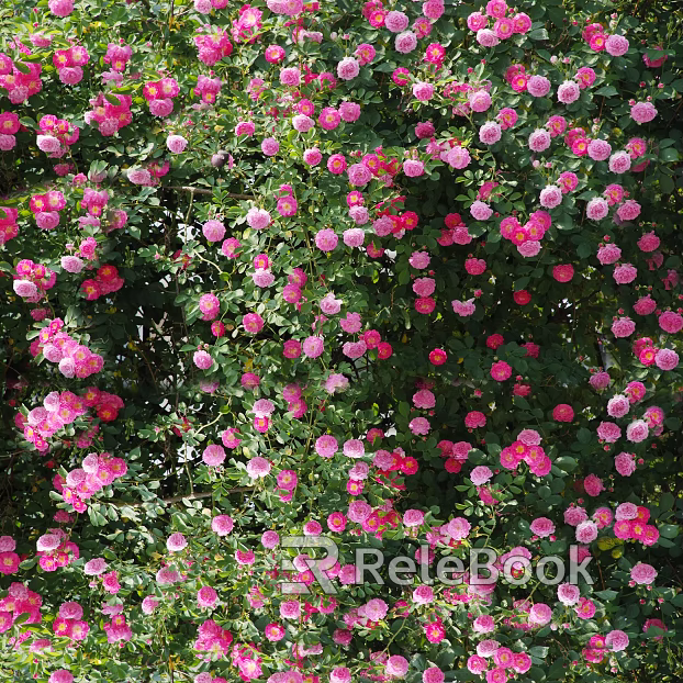 Flowers texture