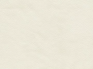fine grain leather texture (ID:ffaeg66403)