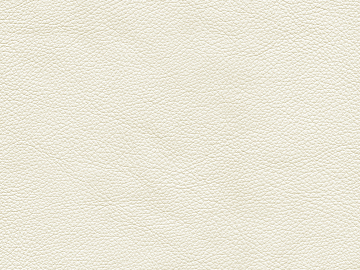 fine grain leather texture (ID:ffaeg66403)