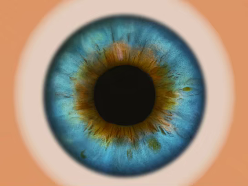 Five senses texture (ID:ffajg84674)