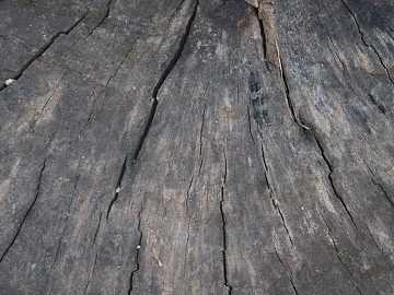 carbon-fired wood carbon black wood texture (ID:ffabg06237)