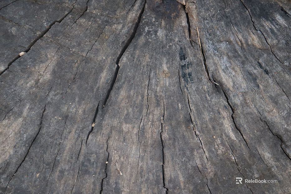 carbon-fired wood carbon black wood texture