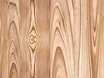 Wood grain 3d model