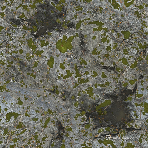 Grayish Green Moss Rock Outdoor Wall texture