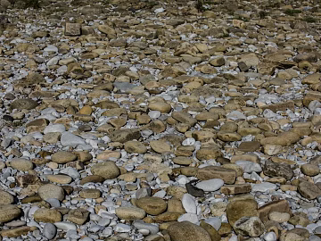 Pebbles texture (ID:ffaag94507)