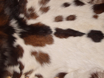 animal skin texture (ID:ffacg88443)