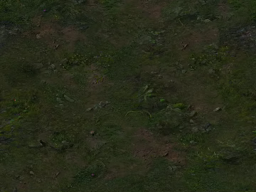 moss texture (ID:ffadf3875)