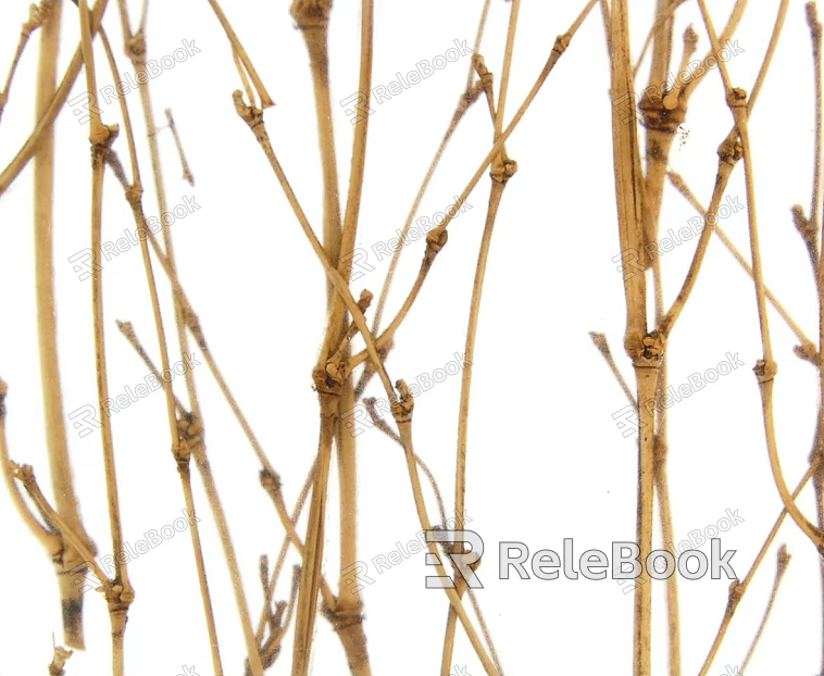 Bamboo texture