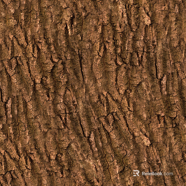 Wood Bark Wood veneer Wood Wood Bark texture
